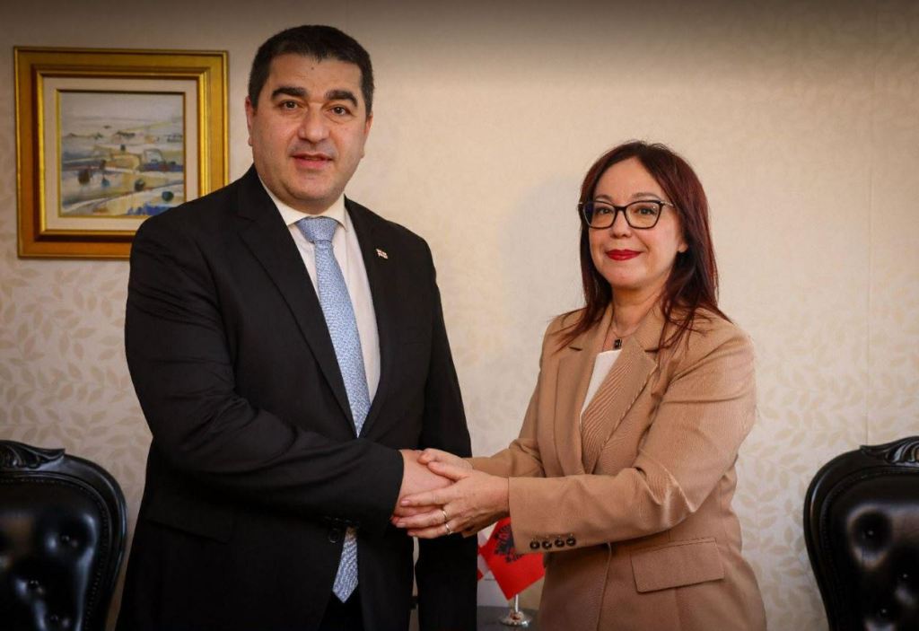 შალვა პაპუაშვილი ალბანეთის პარლამენტის თავმჯდომარის მოადგილეს შეხვდა