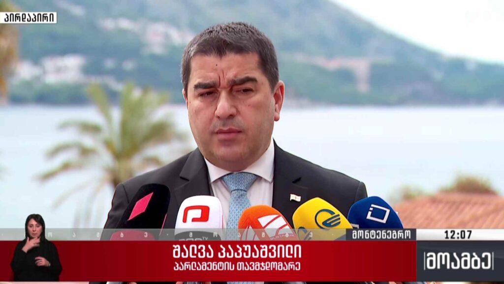 პარლამენტის თავმჯდომარის ვიზიტი მონტენეგროში – კომენტარი