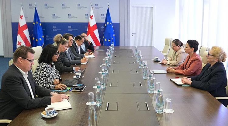 მარიამ ქვრივიშვილმა აზიის განვითარების ბანკის წარმომადგენლებთან შეხვედრაზე ენერგეტიკის სექტორში თანამშრომლობის საკითხები განიხილა