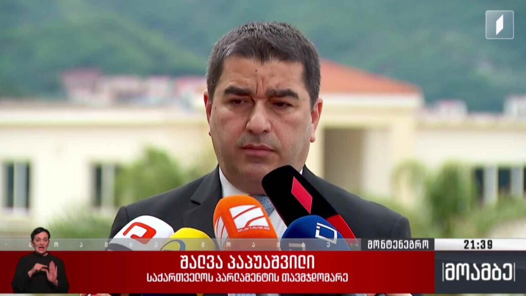 შალვა პაპუაშვილის ვიზიტი მონტენეგროში