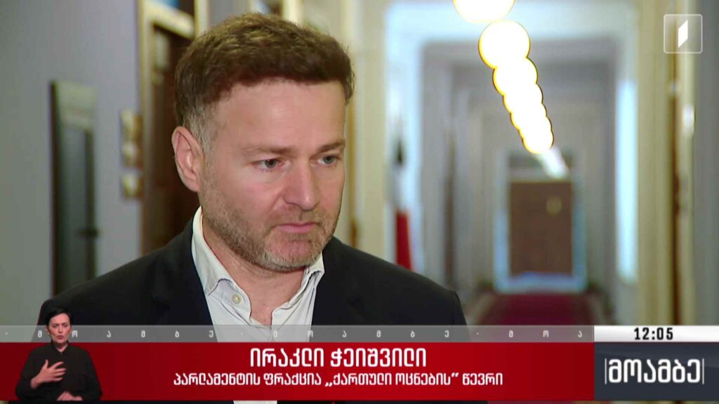 აქციებზე ძალადობის საქმე – შეფასებები