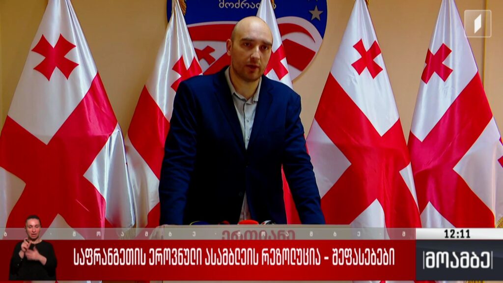 საფრანგეთის ეროვნული ასამბლეის რეზოლუცია – შეფასებები 