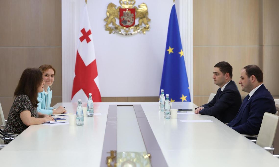 ლევან ჟორჟოლიანი საქართველოში გაერო-ს ლტოლვილთა უმაღლესი კომისარიატის წარმომადგენელს, ანა რიჩს შეხვდა