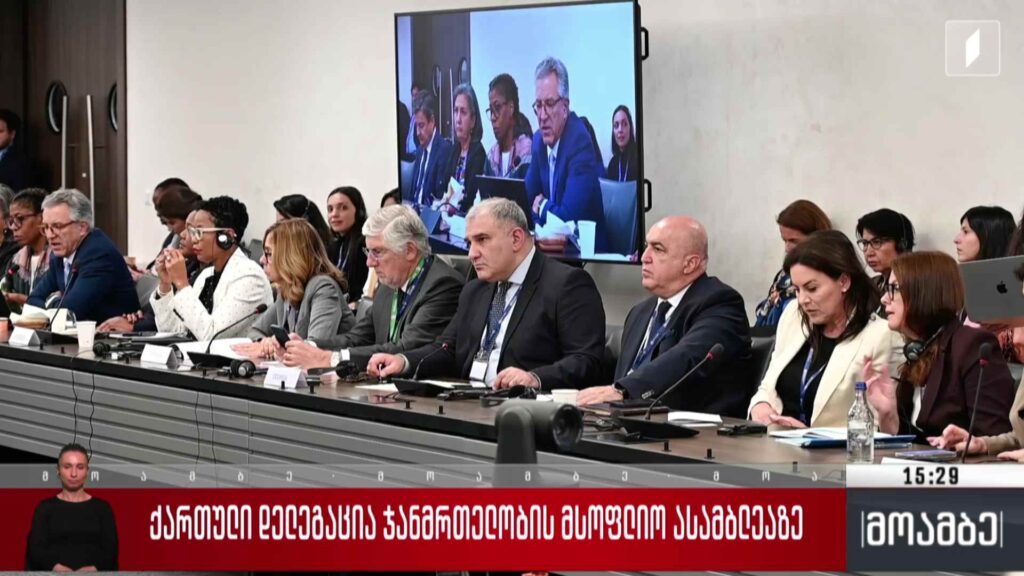 ქართული დელეგაცია ჯანმრთელობის მსოფლიო ასამბლეაზე