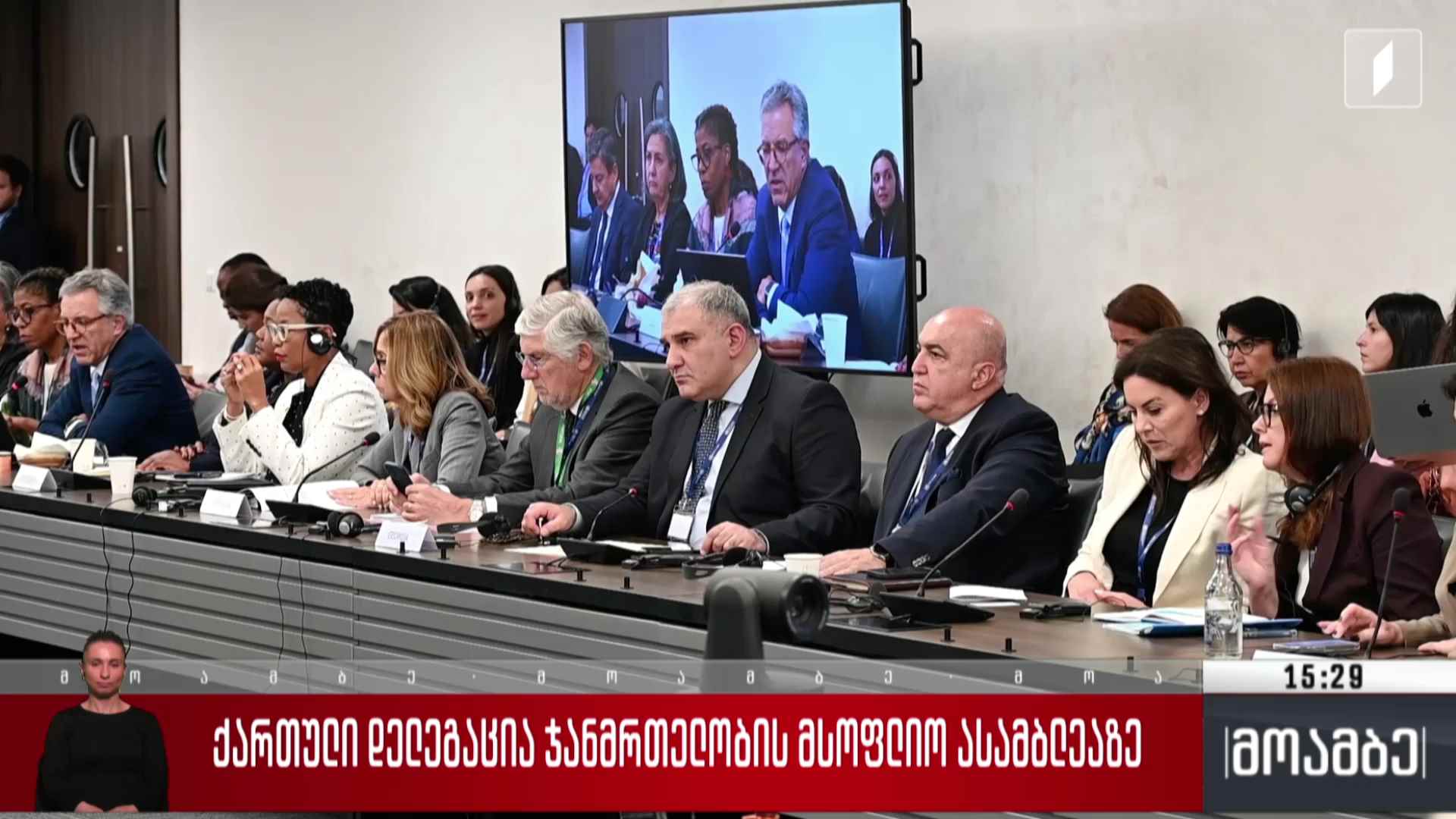 ქართული დელეგაცია ჯანმრთელობის მსოფლიო ასამბლეაზე