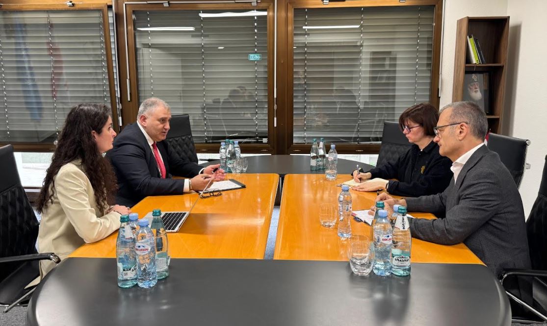 მიხეილ სარჯველაძე გლობალური ფონდის წარმომადგენლებს შეხვდა