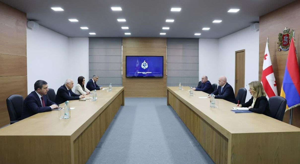 სულხან თამაზაშვილმა სომხეთის ელჩთან გაცნობითი შეხვედრა გამართა