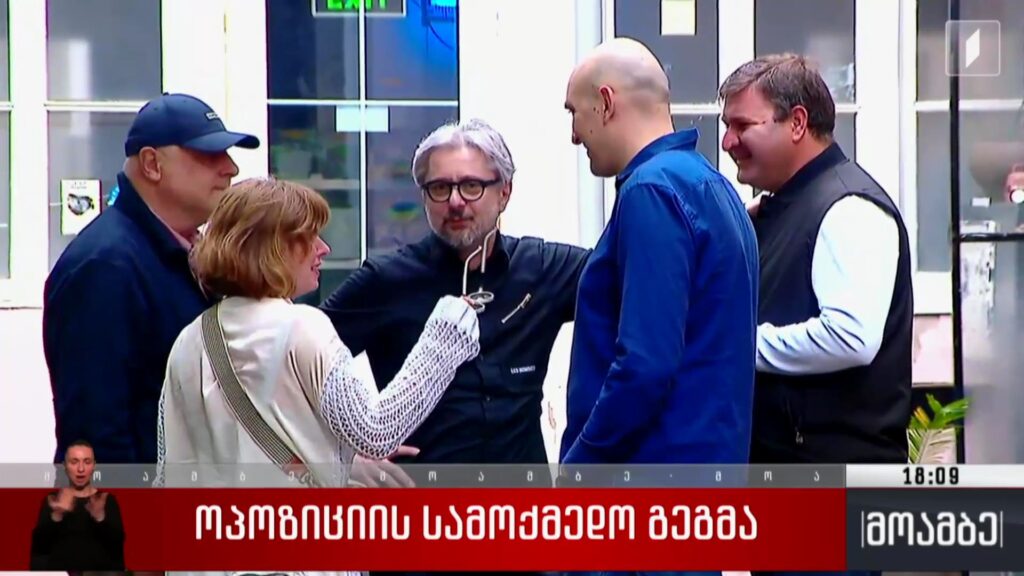 ოპოზიციის სამოქმედო გეგმა