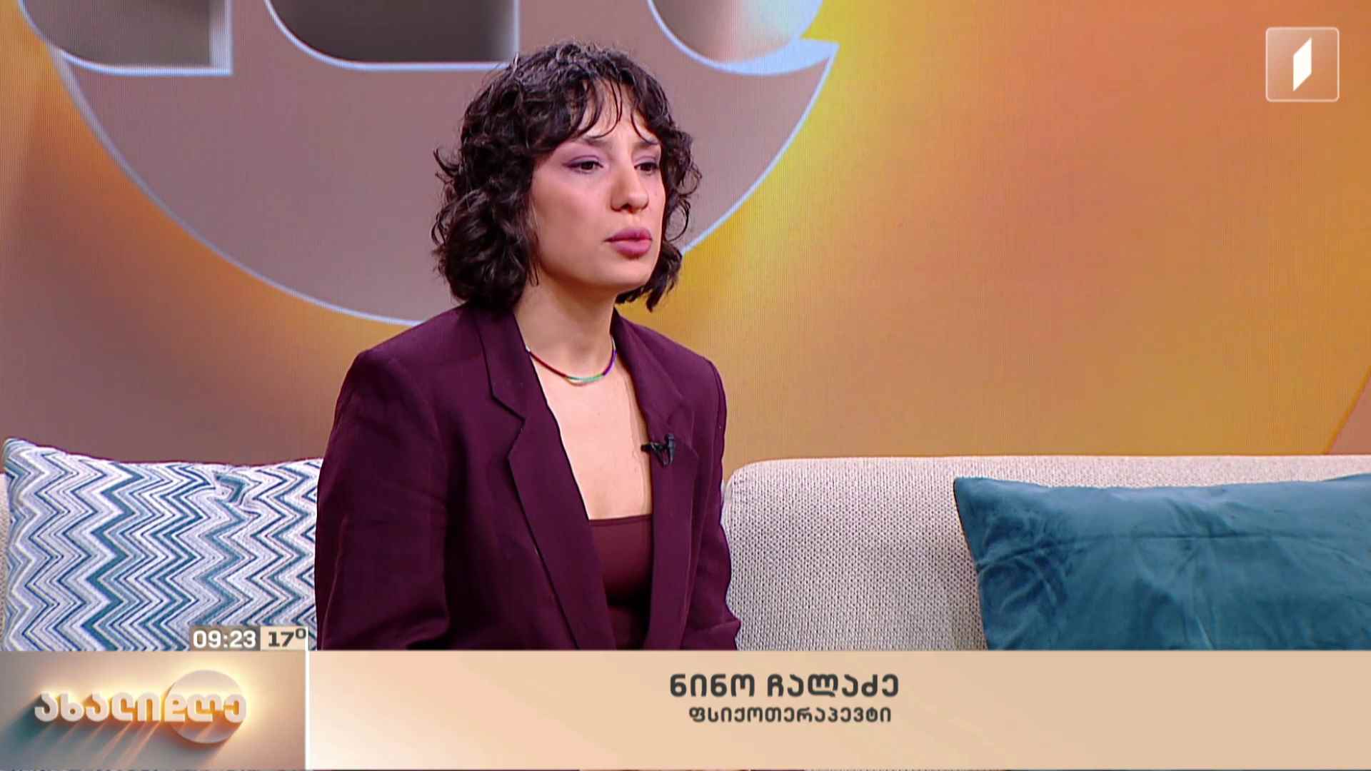 სოციალური ქსელების გავლენა