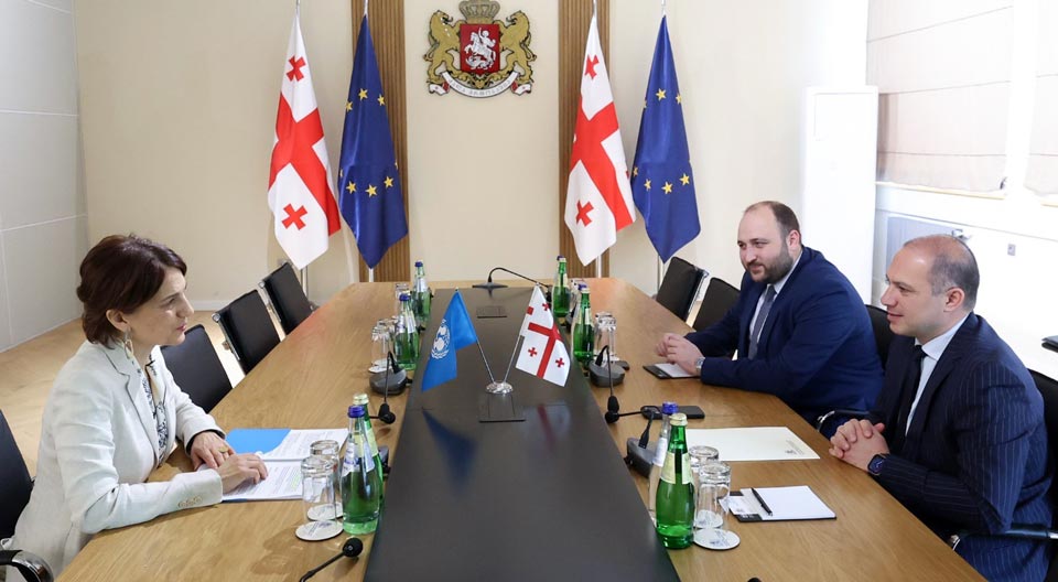გივი მიქანაძე საქართველოში „იუნისეფის“ წარმომადგენელს, იზაბელა კასტროჯოვანის შეხვდა