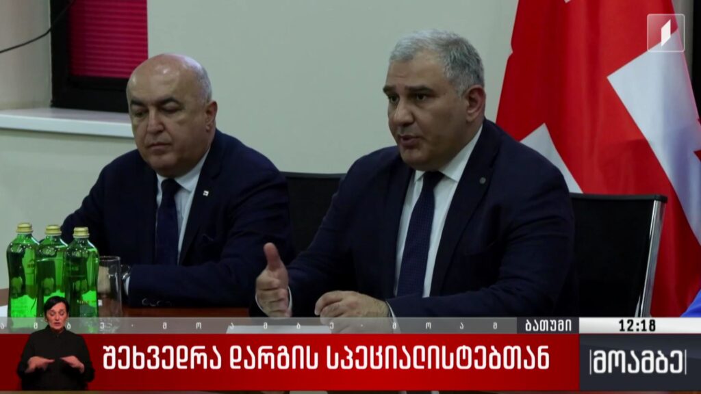 შეხვედრა დარგის სპეციალისტებთან
