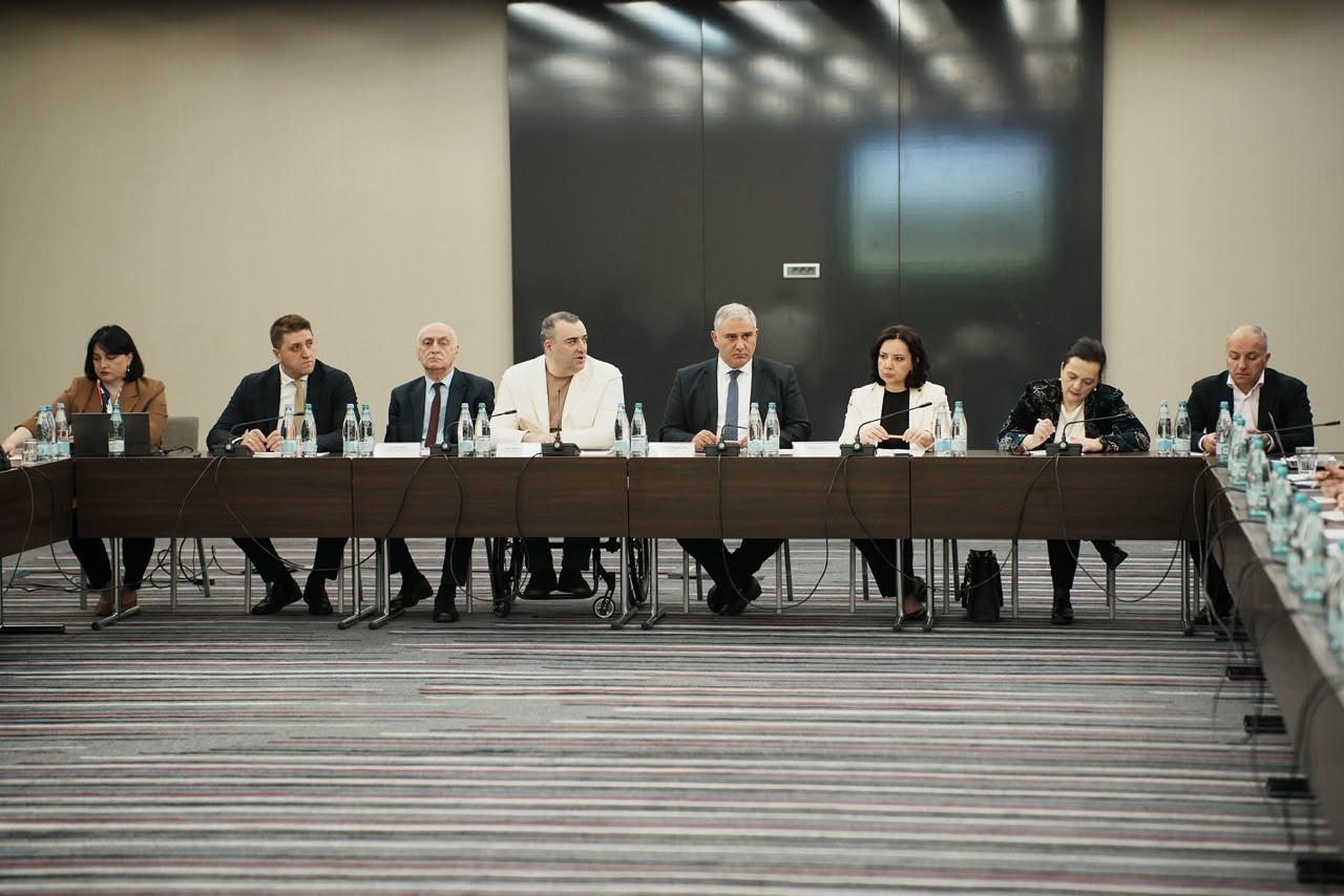 ჯანდაცვის სამინისტრო - პირველი სამუშაო სხდომა გამართა საკოორდინაციო საბჭომ, რომელიც შეზღუდული შესაძლებლობის სტატუსის ბიოფსიქოსოციალური მოდელის დანერგვის ხელშეწყობის მიზნით შეიქმნა