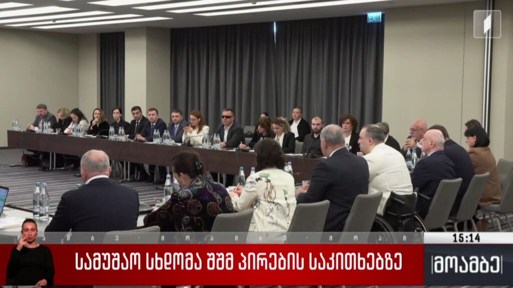 სამუშაო სხდომა შშმ პირების საკითხებზე