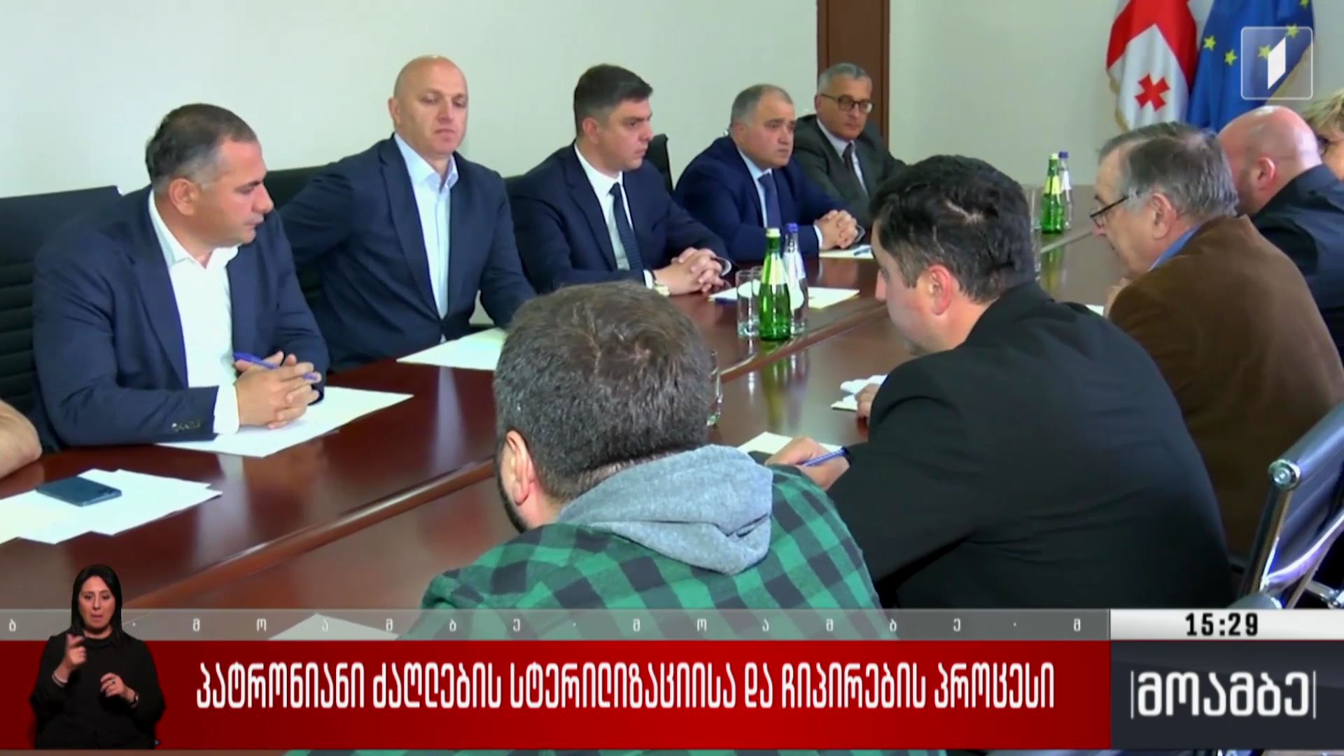 პატრონიანი ძაღლების სტერილიზაციისა და ჩიპირების პროცესი