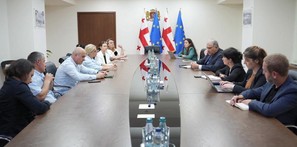 ჯანდაცვის სამინისტროში დიუშენის კუნთოვანი დისტროფიის მქონე პაციენტების მშობლებთან სამუშაო შეხვედრა გაიმართა