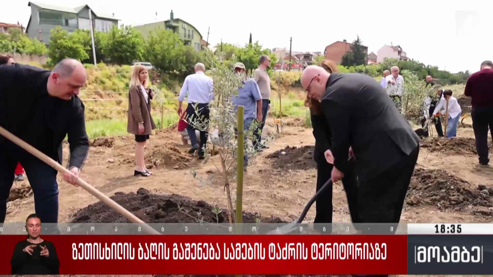 ზეთისხილის ბაღის გაშენება სამების ტაძრის ტერიტორიაზე