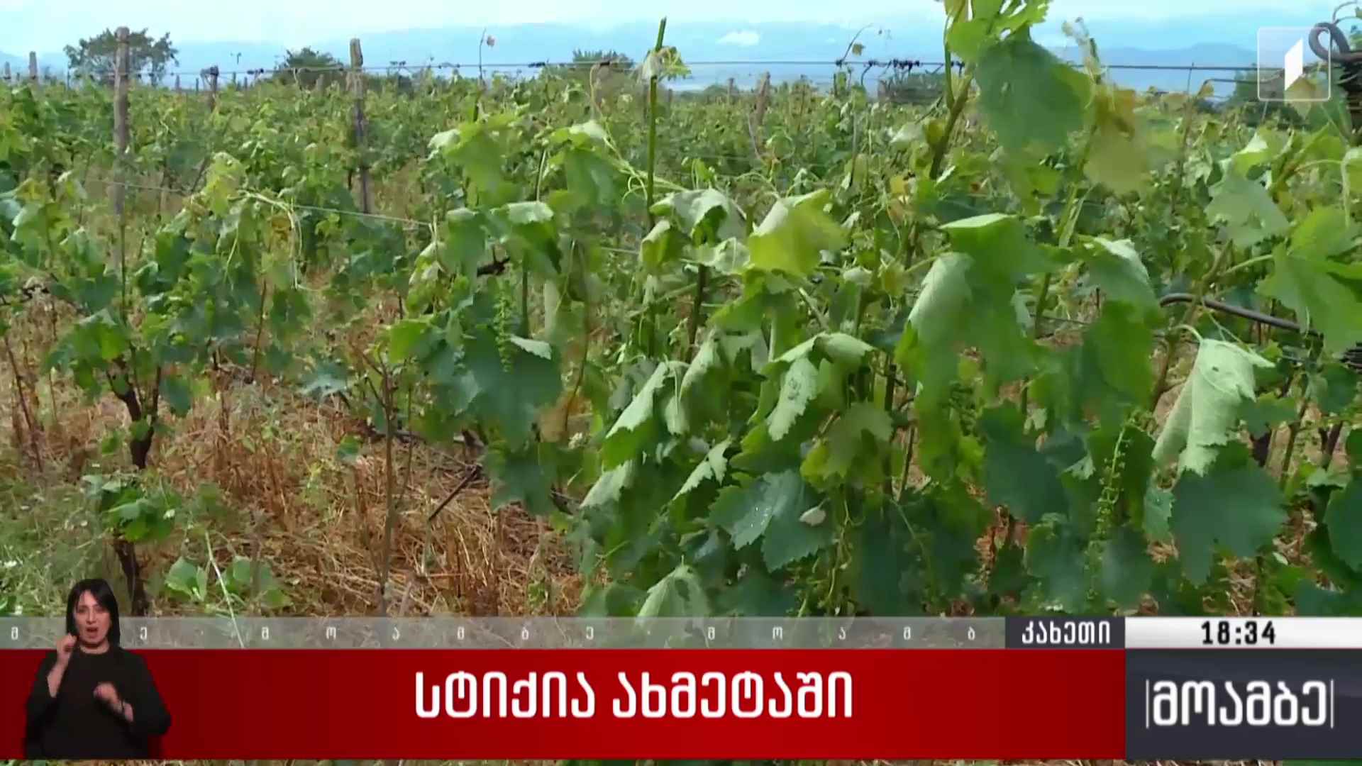 სტიქია ახმეტაში