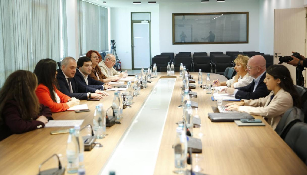 სპეციალური პენიტენციური სამსახურის გენერალური დირექტორი ევროპის საბჭოს წამების, არაადამიანური და ღირსების შემლახველი მოპყრობისა და დასჯის პრევენციის ევროპული კომიტეტის პრეზიდენტს შეხვდა