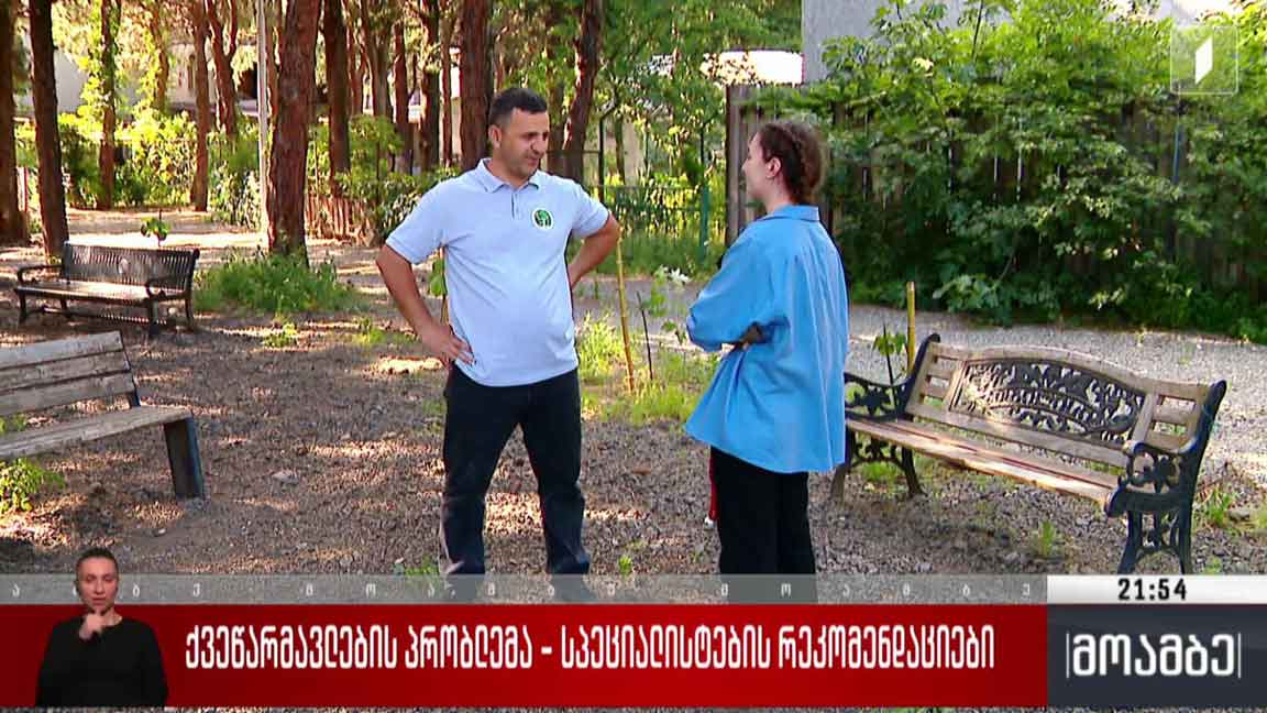 ქვეწარმავლების პრობლემა - სპეციალისტების რეკომენდაციები 