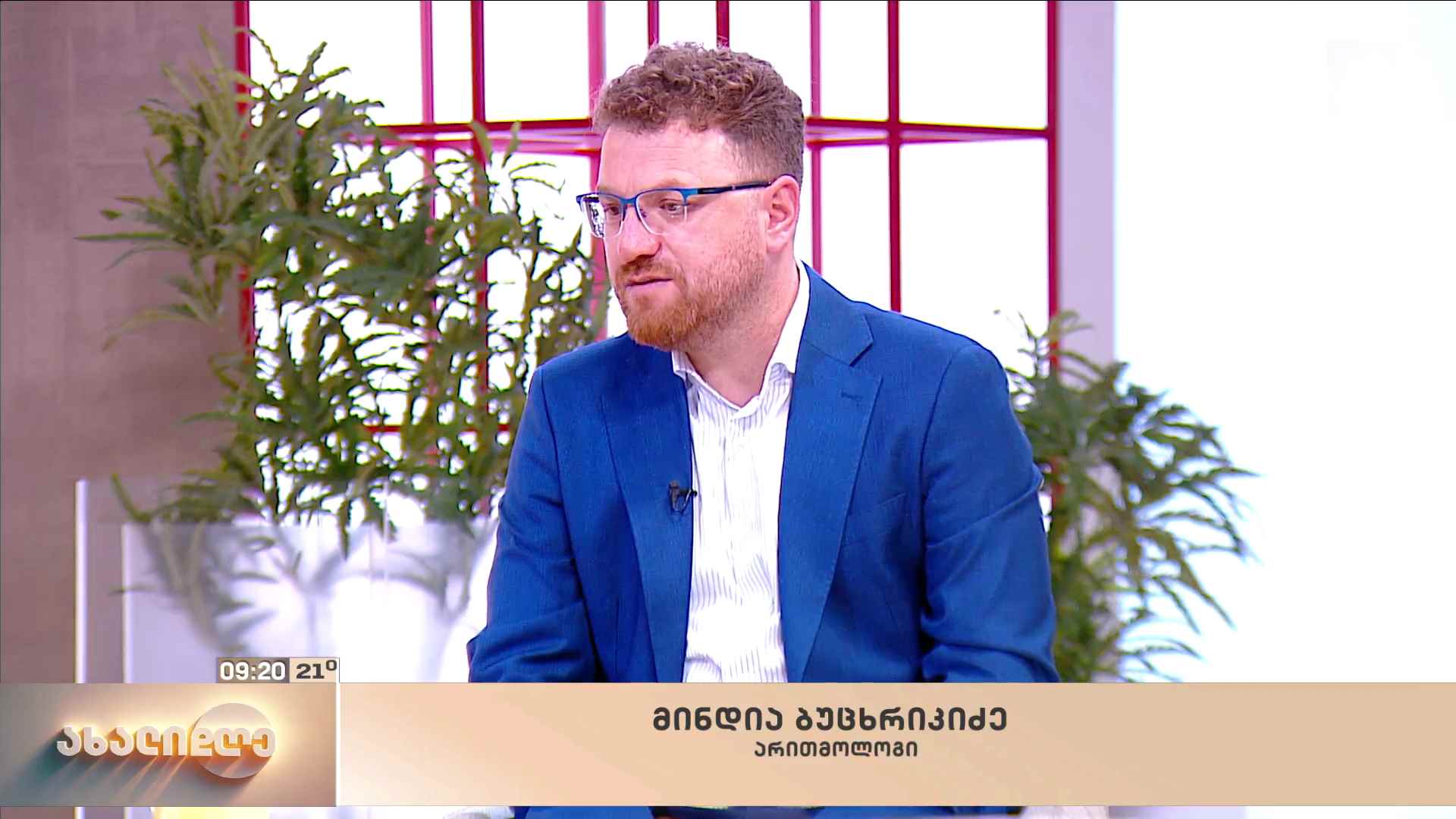 არითმია და გულის აჩქარება