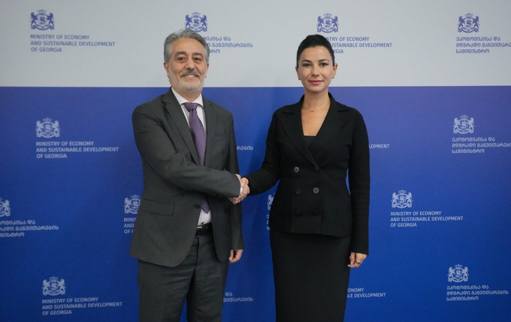 მარიამ ქვრივიშვილმა ისრაელის ახლად დანიშნულ ელჩთან, ვალიდ აბუ ჰაიასთან გაცნობითი ხასიათის შეხვედრა გამართა