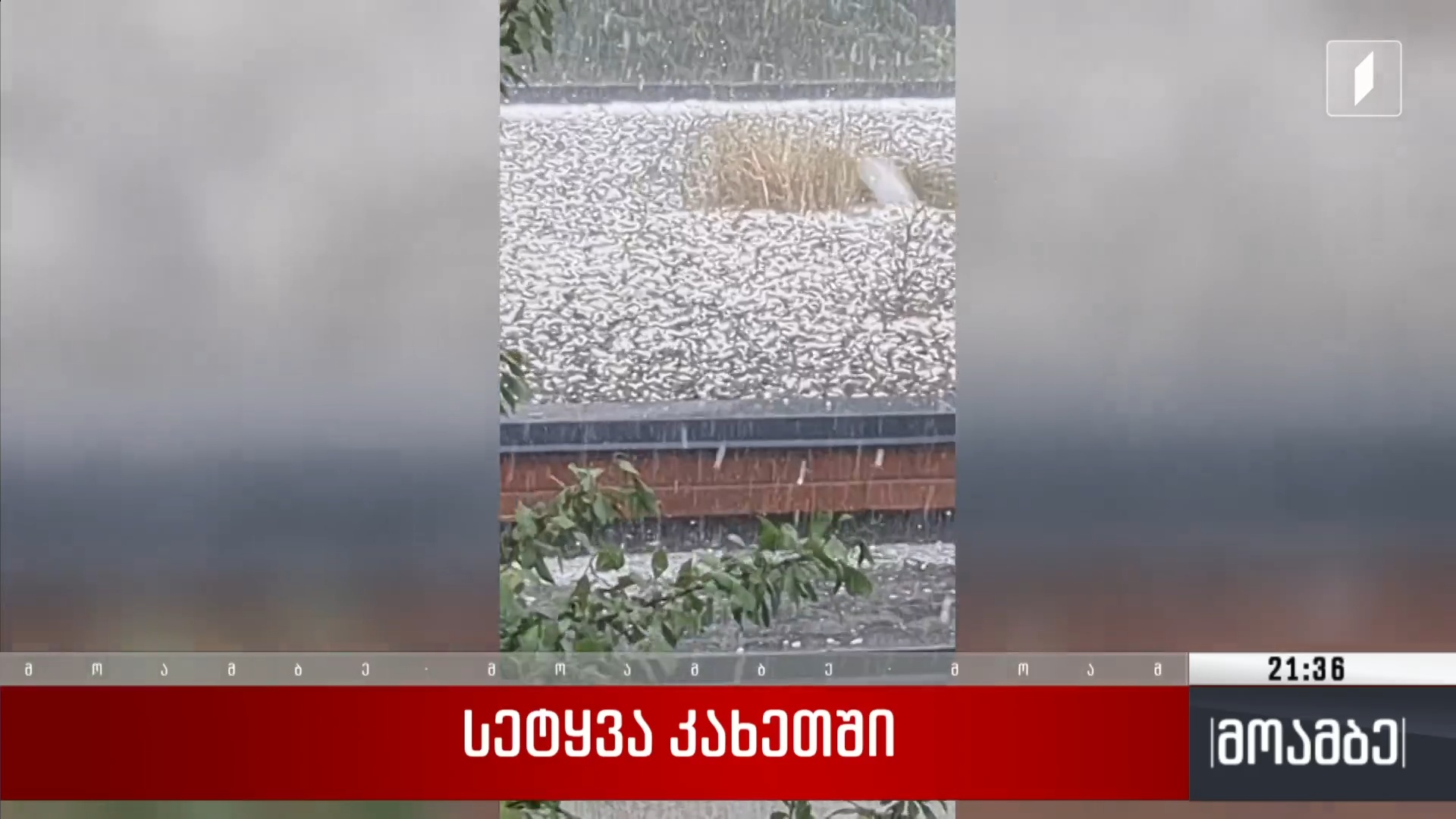 სეტყვა თბილისსა და რეგიონებში