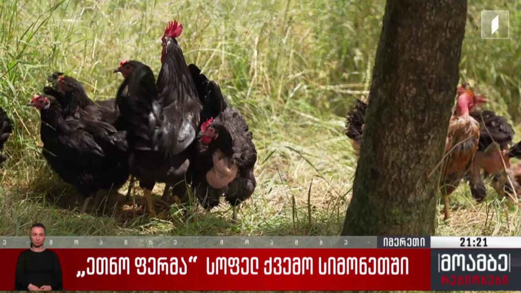 „ეთნო ფერმა“ სოფელ ქვემო სიმონეთში 