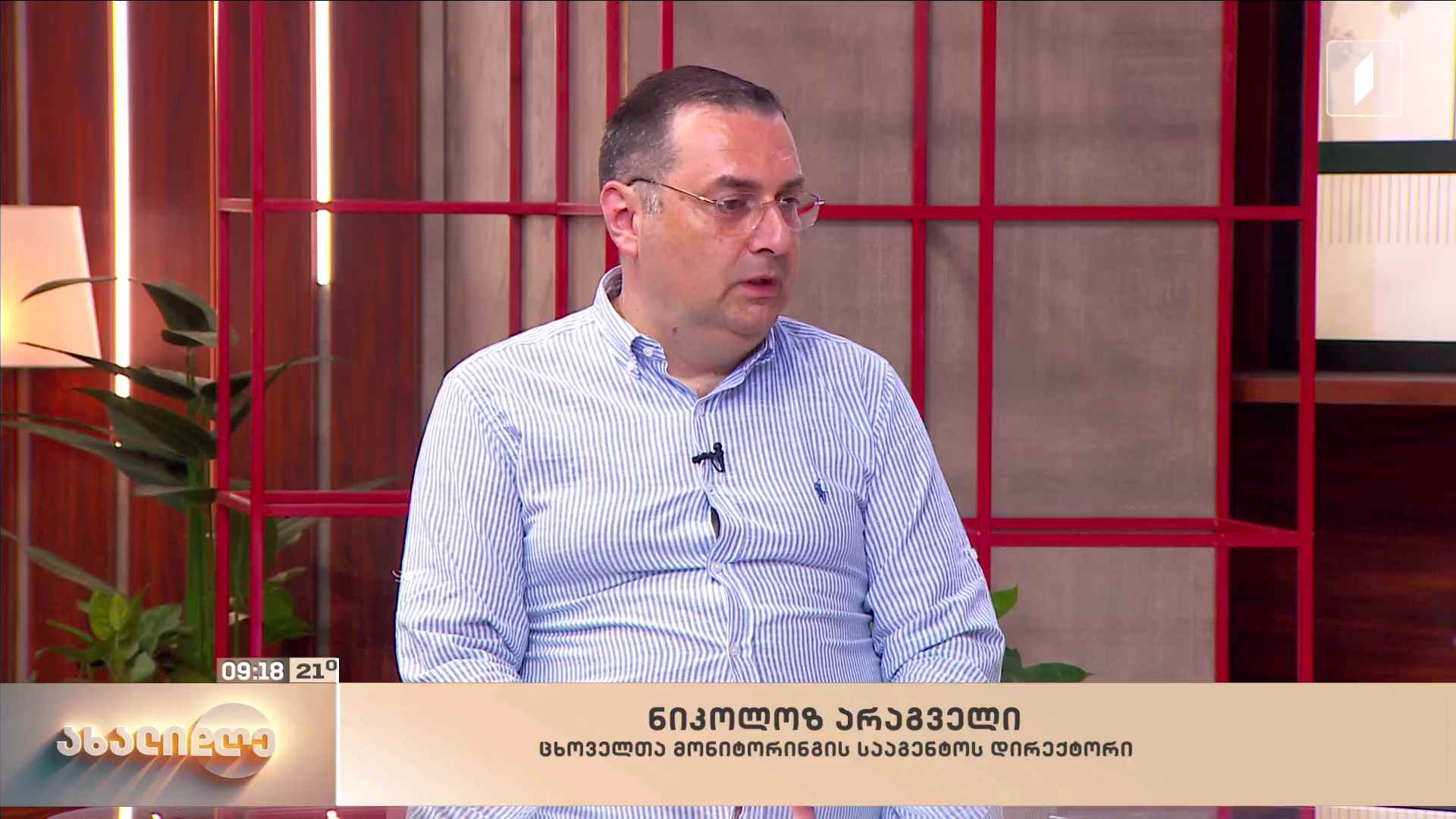 ზაფხული და ქვეწარმავლები - რისკები და რეკომენდაციები