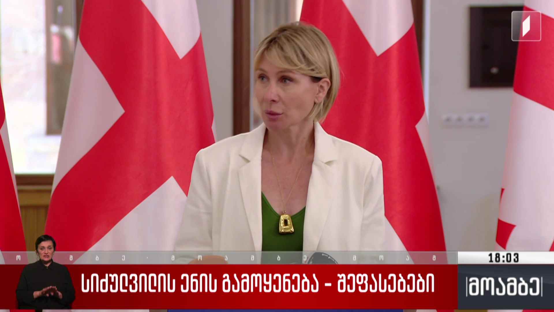 სიძულვილის ენის გამოყენება - შეფასებები