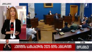 აუდიტის სამსახურის 2025 წლის ანგარიში