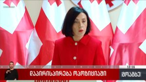დაპირისპირება ოპოზიციაში