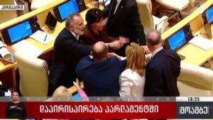 დაპირისპირება პარლამენტში – თეონა მანაგაძის ჩართვა
