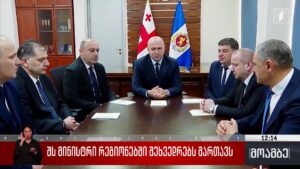 შს მინისტრი რეგიონებში შეხვედრებს მართავს