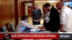 ახალი პოლიტიკური გაერთიანების დაფუძნება