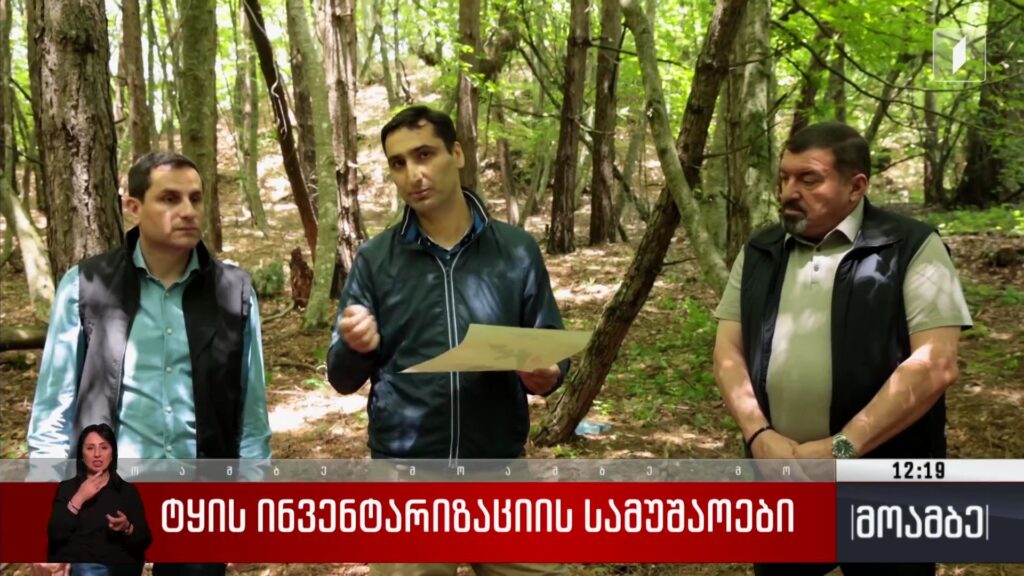 ტყის ინვენტარიზაციის სამუშაოები