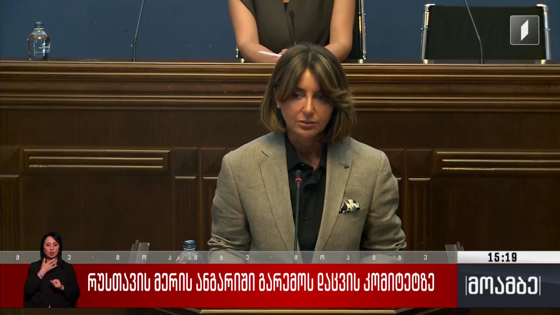 რუსთავის მერის ანგარიში გარემოს დაცვის კომიტეტზე