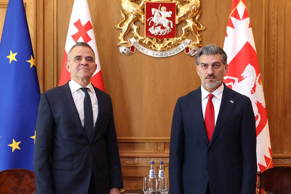 მიხეილ ყაველაშვილი ბულგარეთის ელჩს შეხვდა