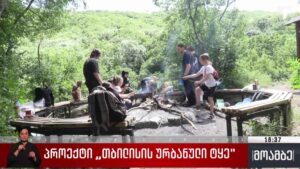 პროექტი „თბილისის ურბანული ტყე“