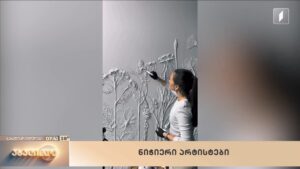 საინტერესო ვიდეოები