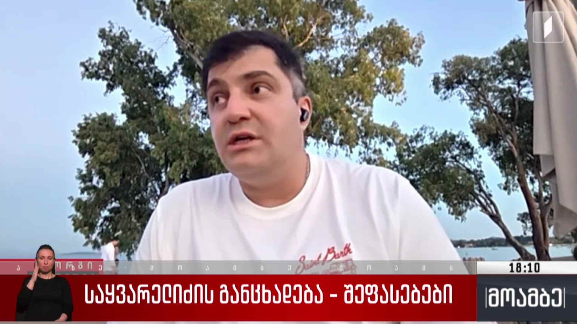 საყვარელიძის განცხადება - შეფასებები