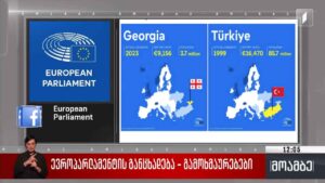 ევროპარლამენტის განცხადება – გამოხმაურებები