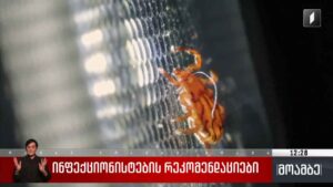 ინფექციონისტების რეკომენდაციები