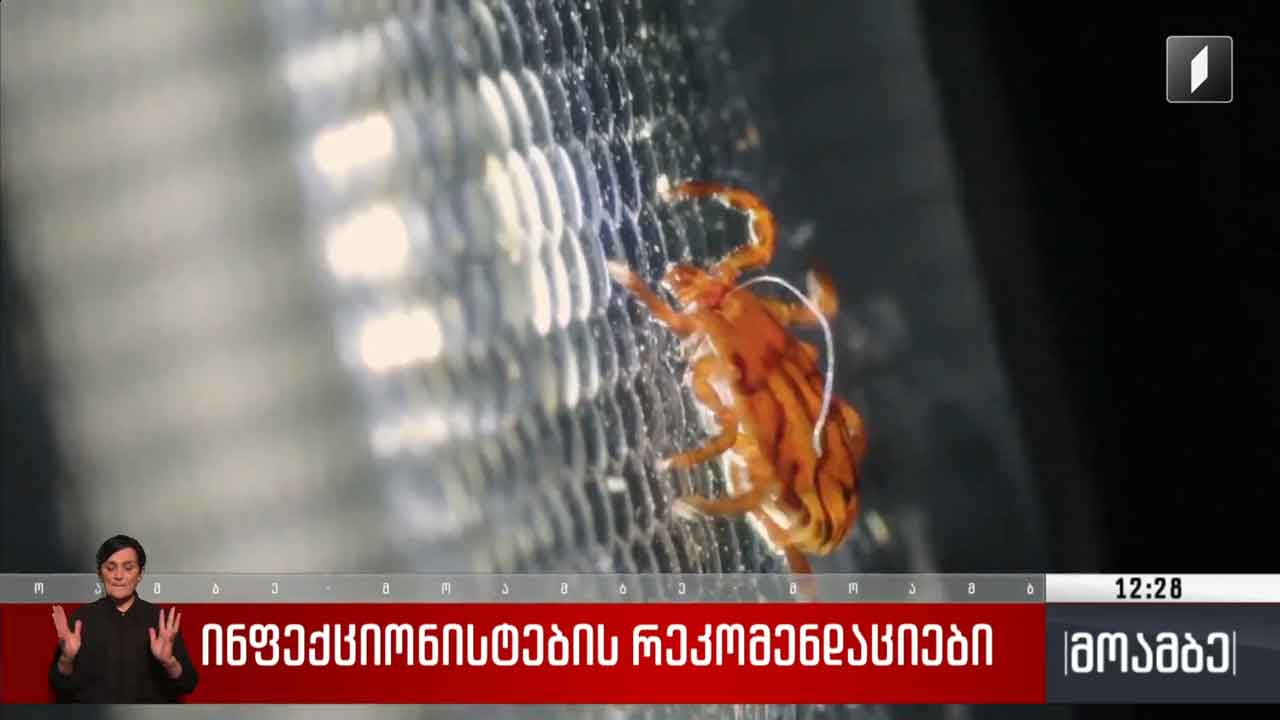 ინფექციონისტების რეკომენდაციები
