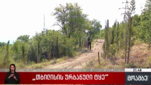 „თბილისის ურბანული ტყე“ 