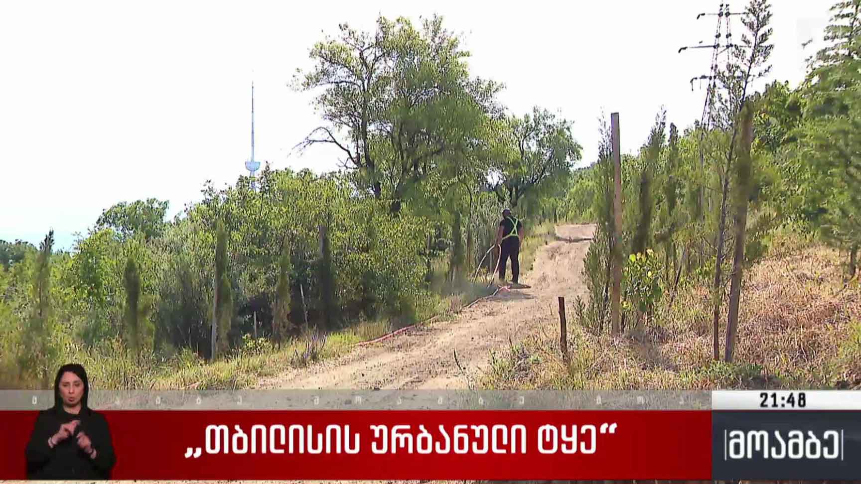 „თბილისის ურბანული ტყე“ 