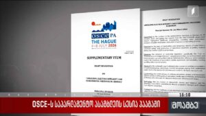 საქართველოს შესახებ რეზოლუციის პროექტი