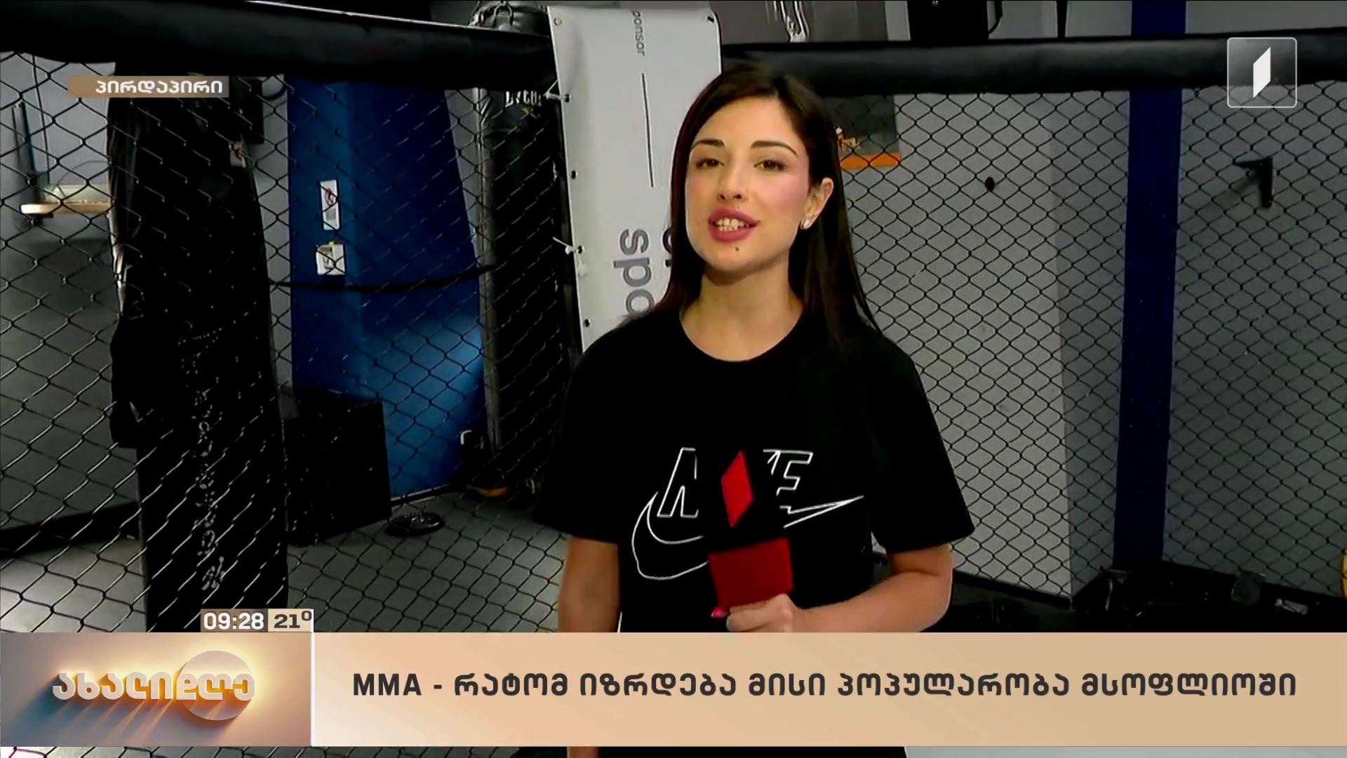 MMA - რატომ იზრდება მისი პოპულარობა მსოფლიოში