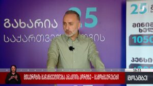 მთავრობის გადაწყვეტილება ანაკლიის პორტზე – გამოხმაურებები