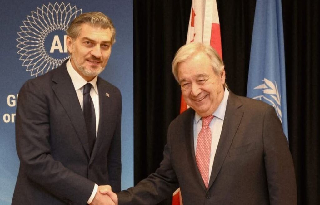 მიხეილ ყაველაშვილი ჟენევაში გაერო-ს გენერალურ მდივანს, ანტონიუ გუტერეშს შეხვდა
