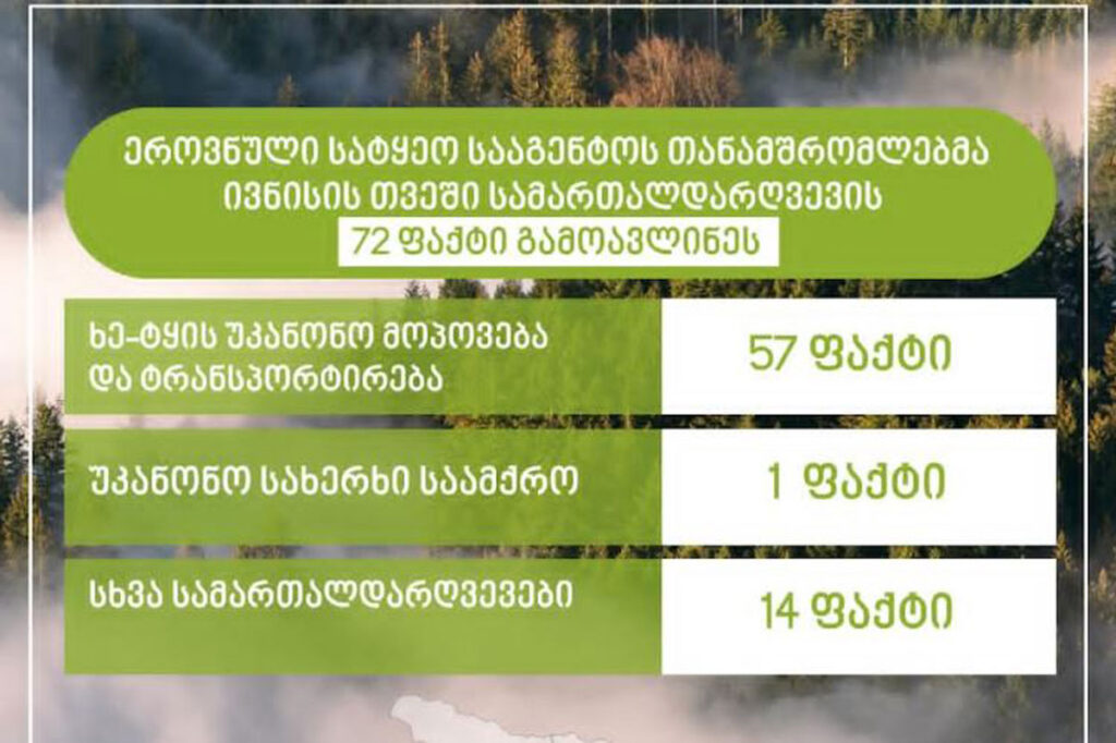 ეროვნული სატყეო სააგენტოს თანამშრომლებმა ივნისის თვეში სამართალდარღვევის 72 ფაქტი გამოავლინეს